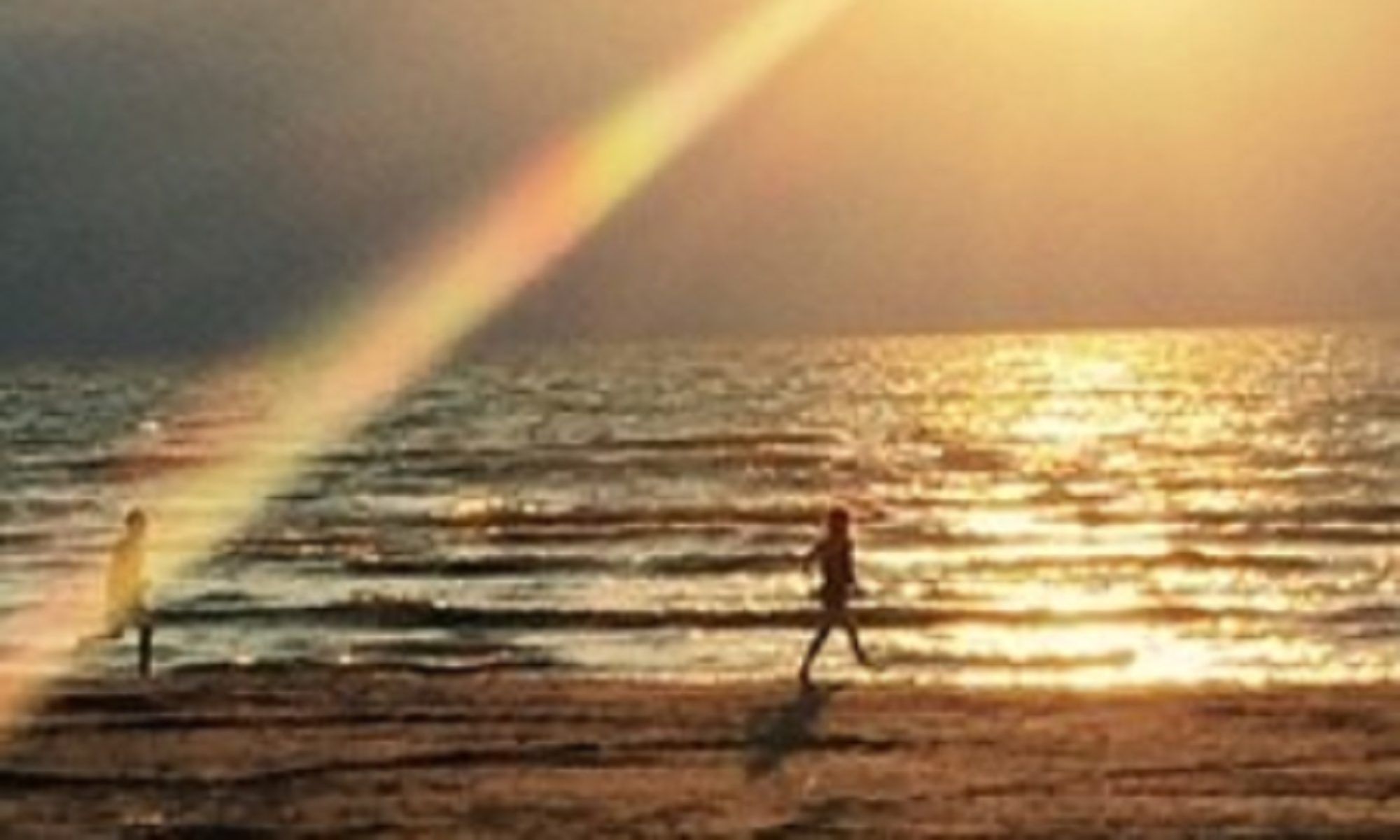 A girl marches along the shore at sunset while her brother runs to catch up